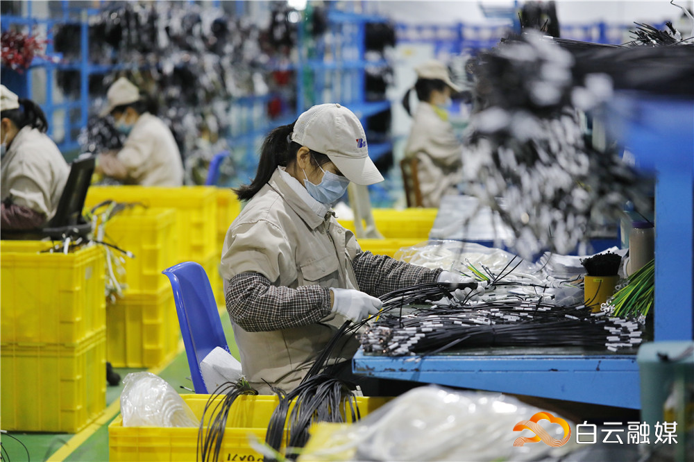 来了，多重政策出台！白云援企稳岗出实招！